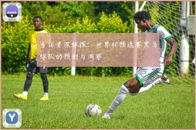 专访资深球探：世界杯预选赛黑马球队的预测与洞察