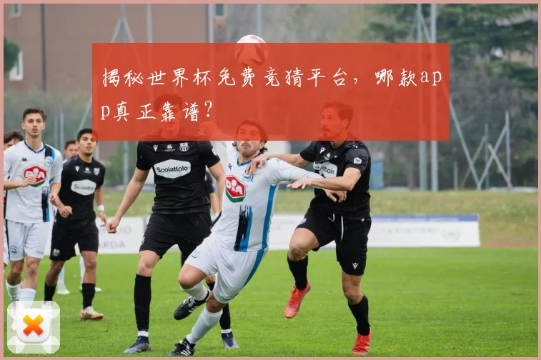 揭秘世界杯免费竞猜平台，哪款app真正靠谱？