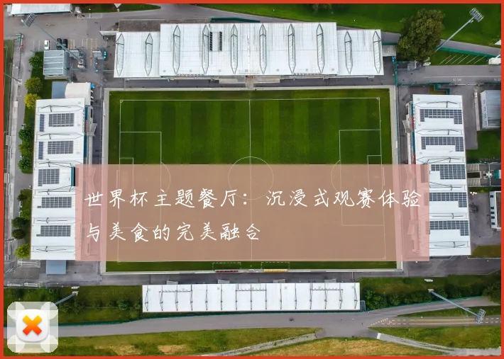 世界杯主题餐厅：沉浸式观赛体验与美食的完美融合