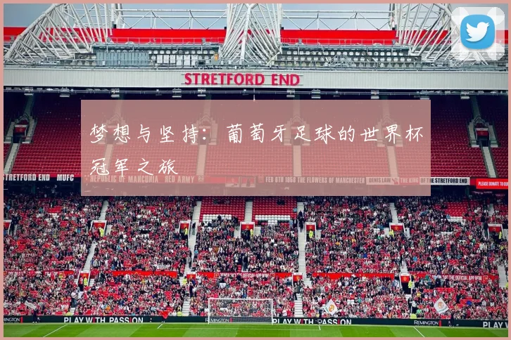 梦想与坚持：葡萄牙足球的世界杯冠军之旅