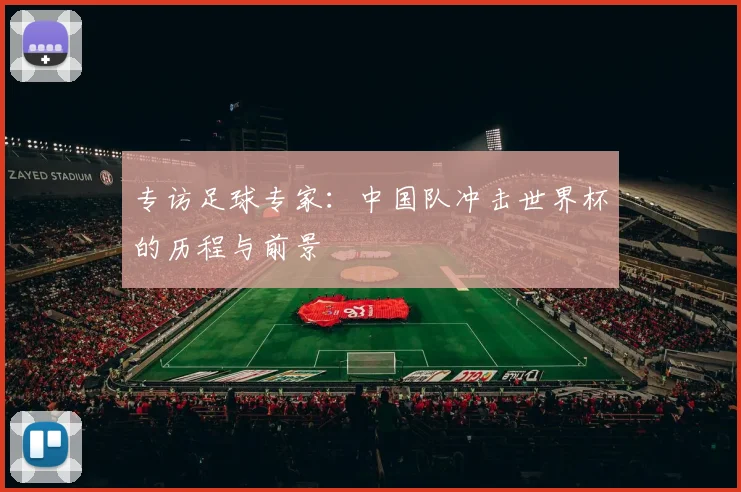 专访足球专家：中国队冲击世界杯的历程与前景