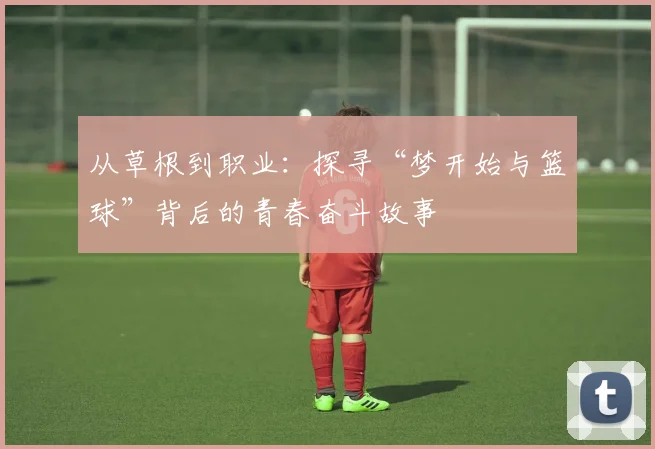从草根到职业：探寻“梦开始与篮球”背后的青春奋斗故事