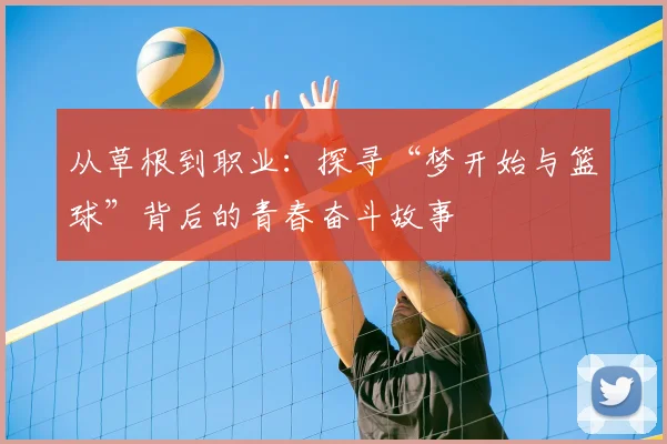 从草根到职业：探寻“梦开始与篮球”背后的青春奋斗故事