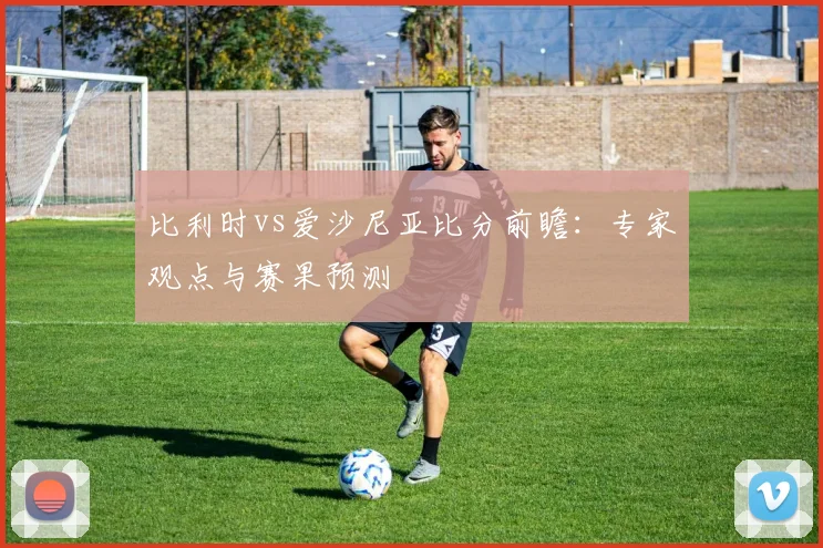 比利时vs爱沙尼亚比分前瞻：专家观点与赛果预测