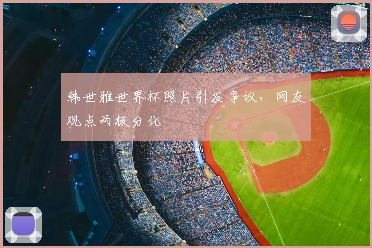 韩世雅世界杯照片引发争议，网友观点两极分化