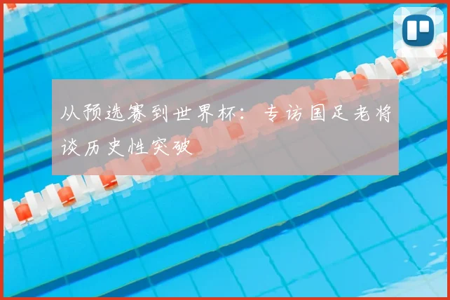 从预选赛到世界杯：专访国足老将谈历史性突破