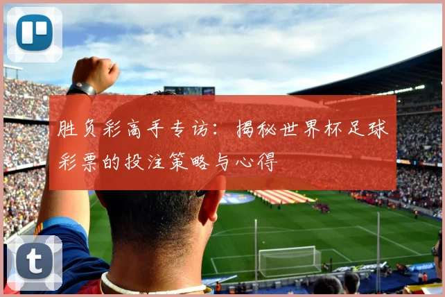 胜负彩高手专访:揭秘世界杯足球彩票的投注策略与心得