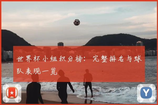 世界杯小组积分榜:完整排名与球队表现一览