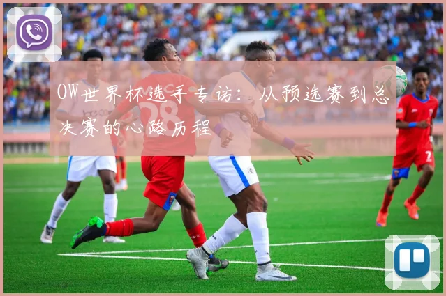 OW世界杯选手专访:从预选赛到总决赛的心路历程