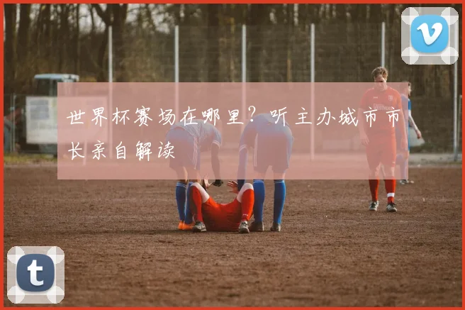 世界杯赛场在哪里？听主办城市市长亲自解读