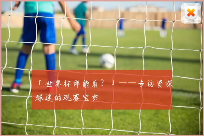 「世界杯那能看?」——专访资深球迷的观赛宝典