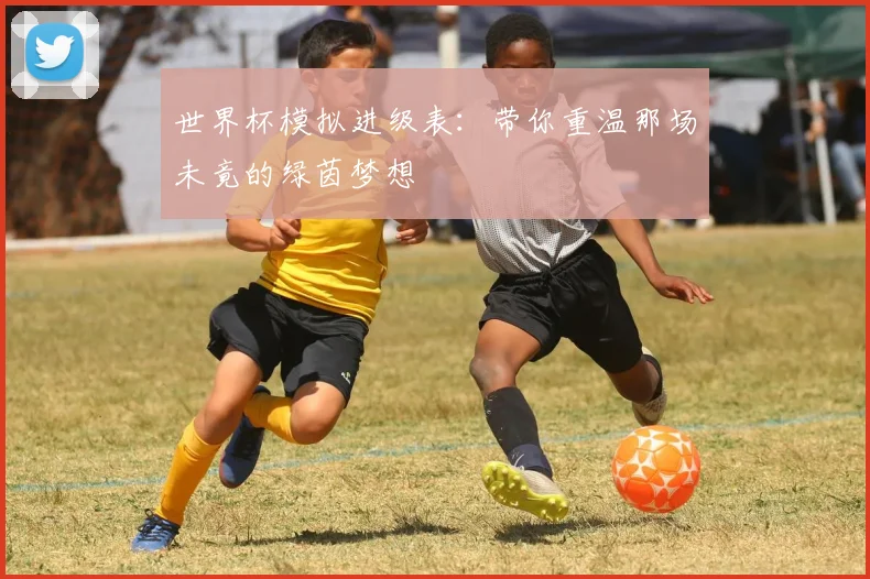 世界杯模拟进级表：带你重温那场未竟的绿茵梦想